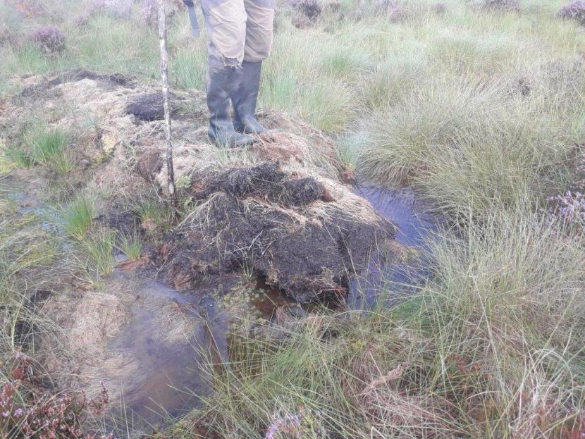 Peatland restoration, Mhoine Mhor