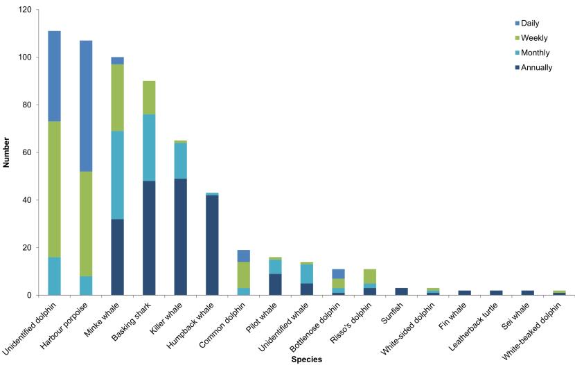 Bar graph of species observed during fishing operations excluded seals