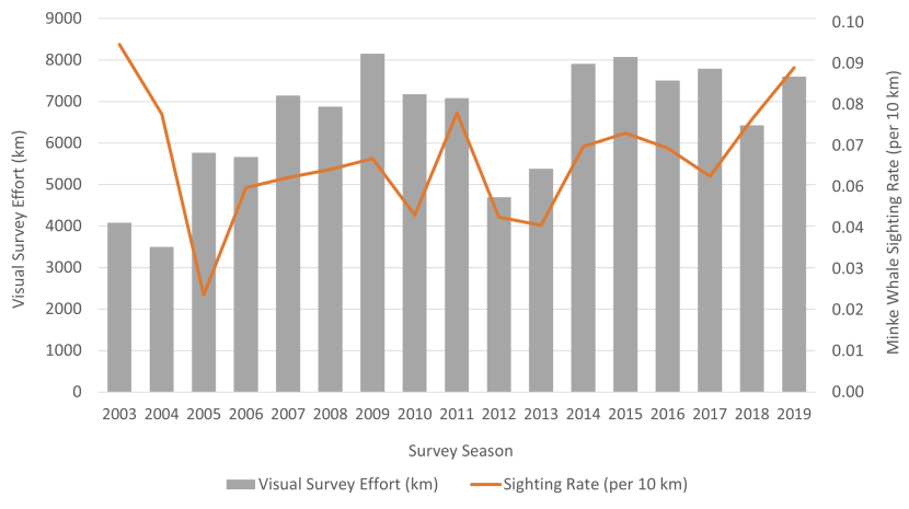 Combined line and bar graph of HWDT annual visual survey effort combined with minke whale sighting rate.