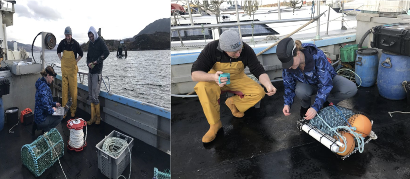 Fishers on a fishing vessel being shown ropeless gear.