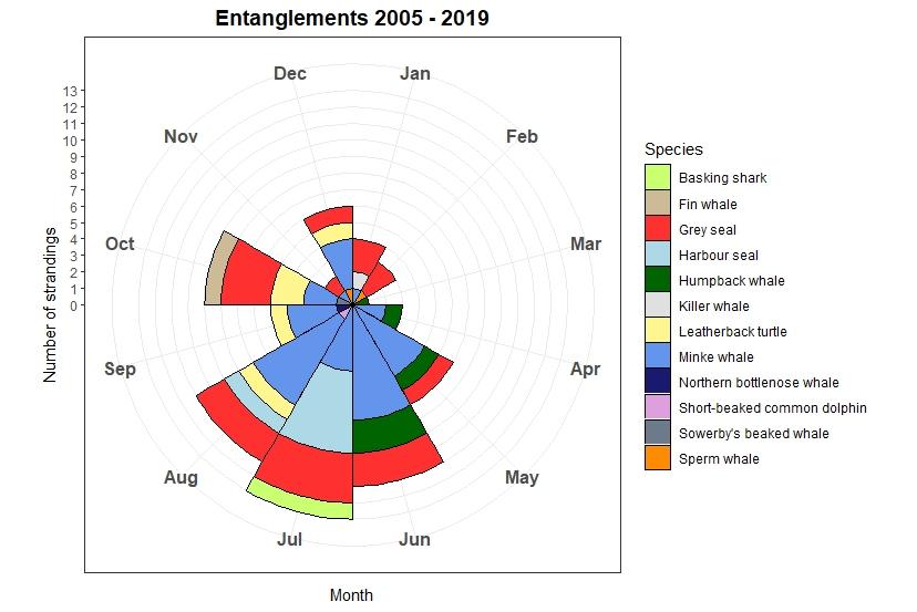 Circular graph of seasonal changes in numbers of entanglements. Monthly numbers divided by species and depicted using colour.