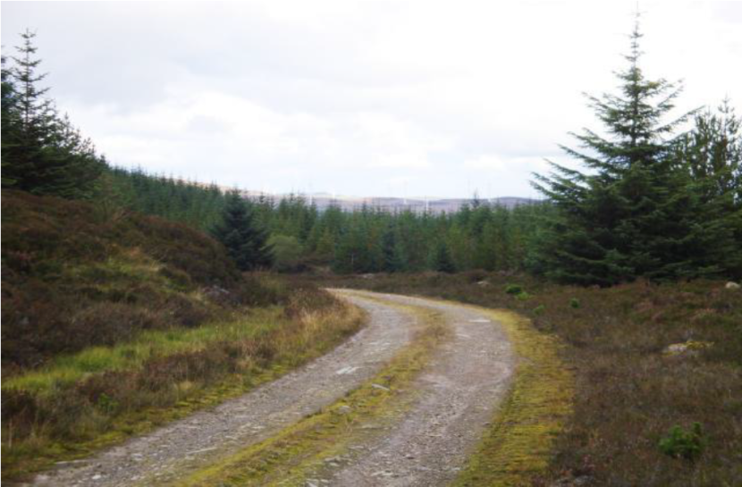 Track with Vegetated centre line leading into woodland