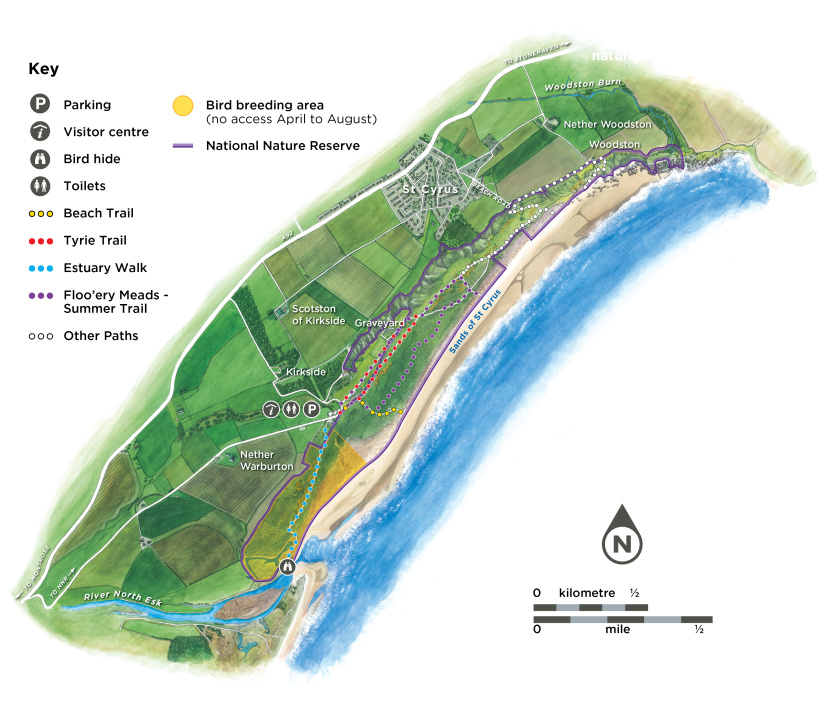 St Cyrus map illustration