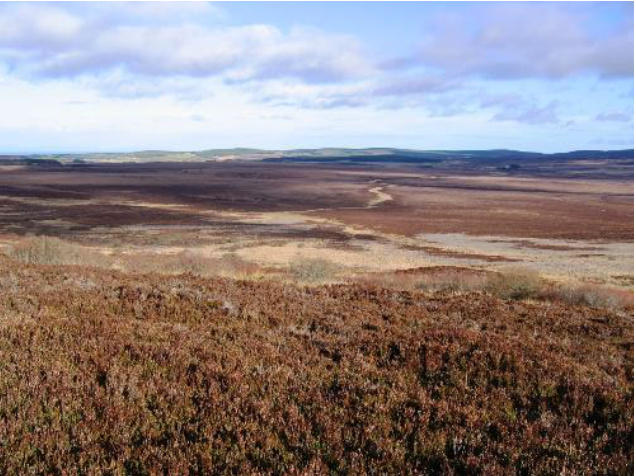 A good site for peat dams with open land and hills