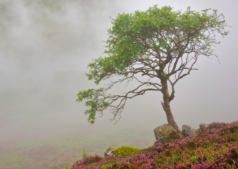 Mist rising from Coire Ardair, Creag Meagaidh NNR on a typically wet summers day