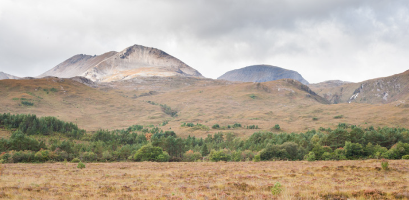 Beinn Eighe NNR with woodland and pale scree slopes