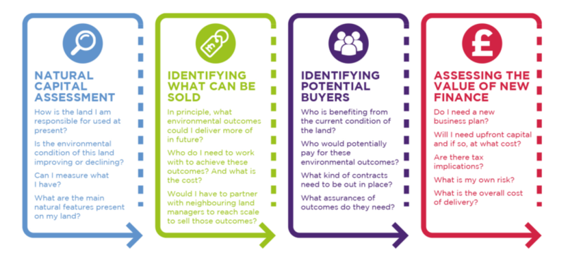 Diagram showing four steps in securing nature-based finance.