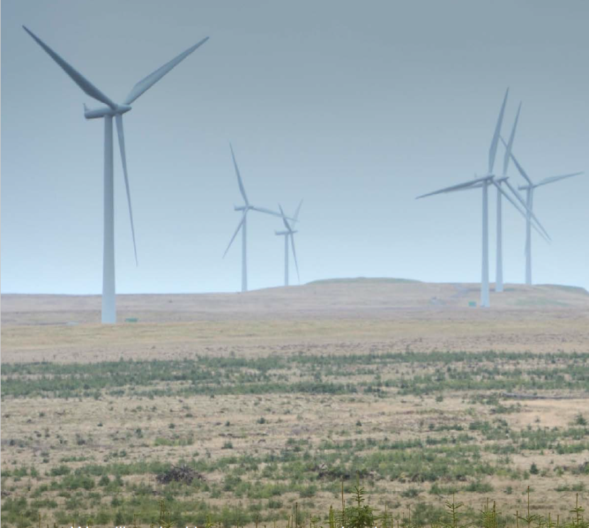 Windfarm