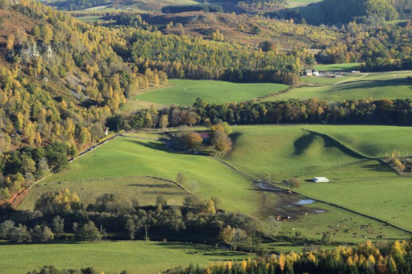 View down the valley over Birnam Hill