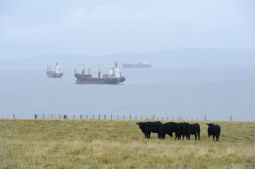 View over fields and see from Orkney