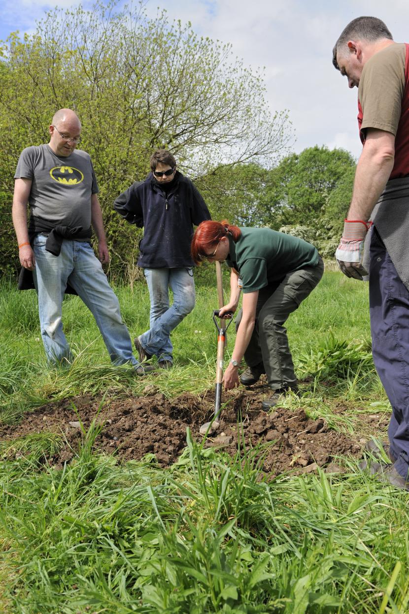 four people gardening