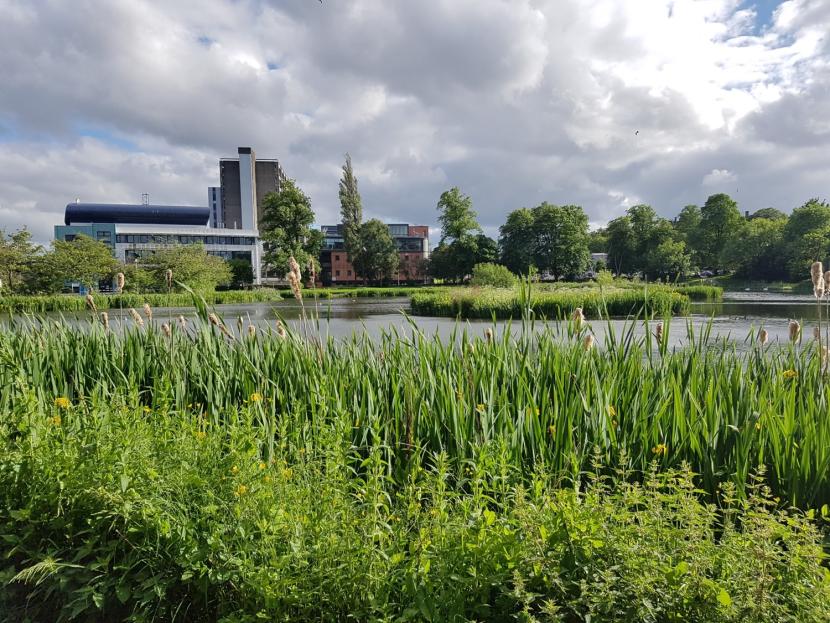 Bingham SuDS pond, Glasgow