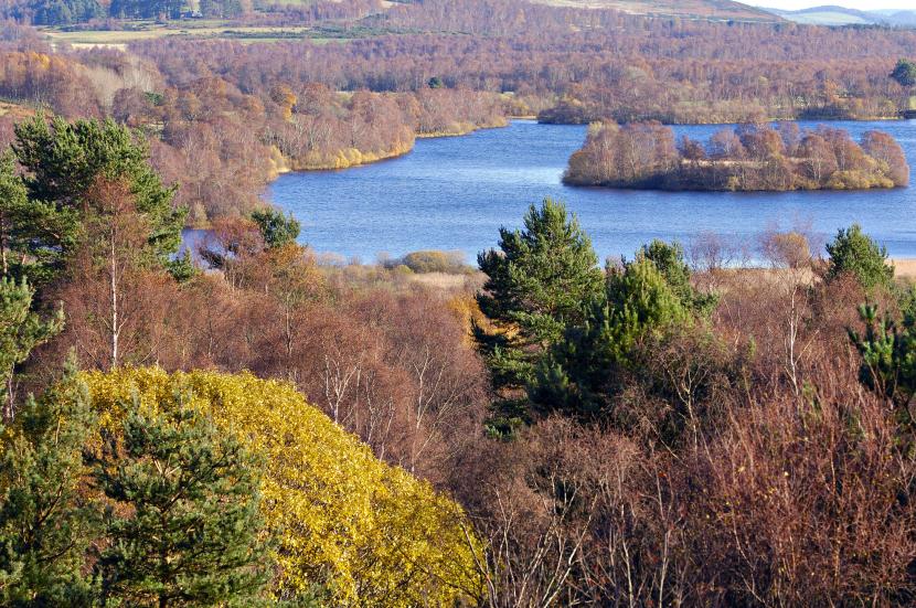 Lochan and woodland