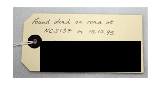 ID label