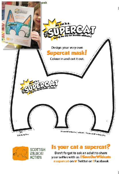 Supercat mask diagram