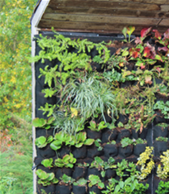 Battleby Living Wall