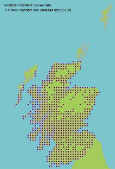 distribution of British bluebell