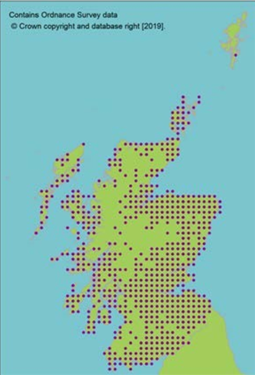 distribution of Elderberry
