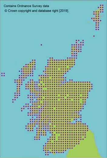 distribution of Yorkshire fog