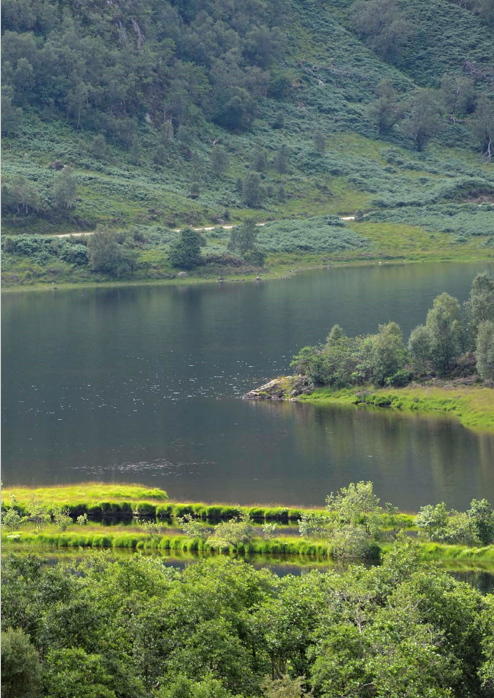 greenspace and hills with water area