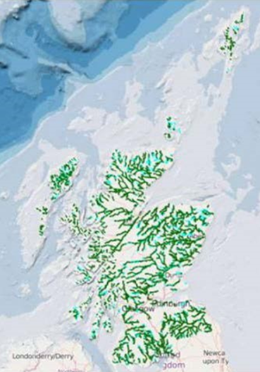 distribution of Atlantic salmon