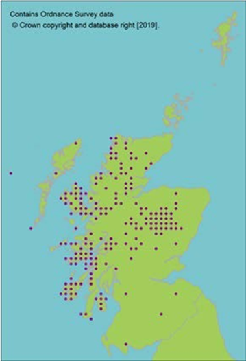 distribution of Golden eagle