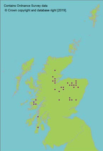 distribution of Scottish wildcat