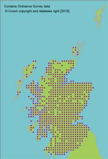 distribution of Raspberry