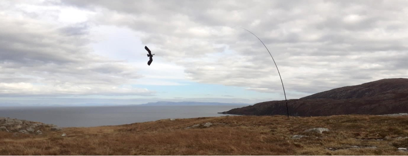 Scaring kite in the shape of an eagle