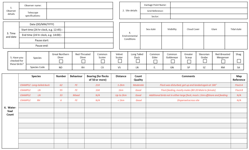 Recording form used by the volunteers