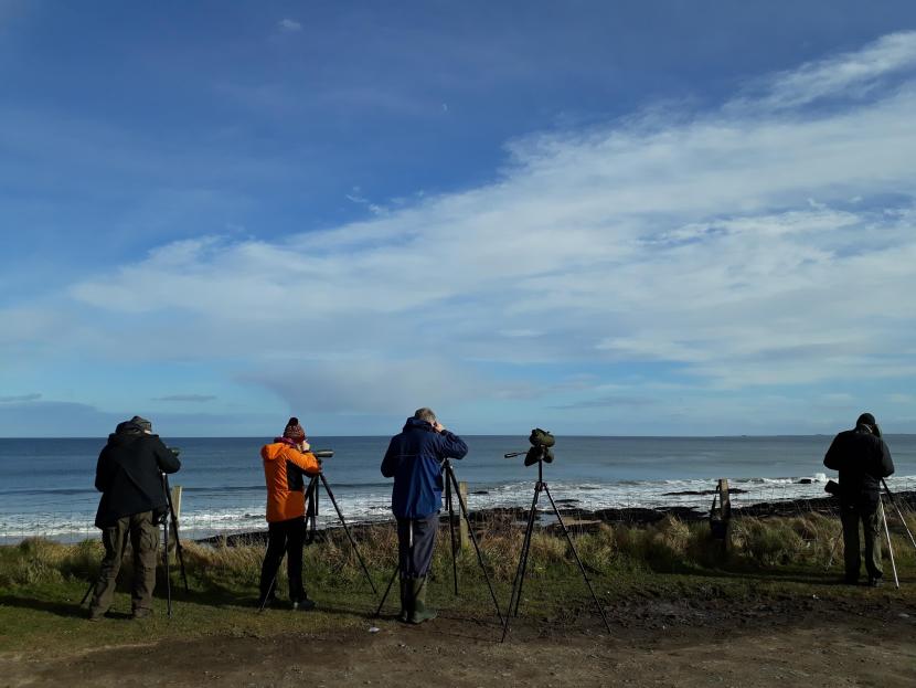Undertaking field tests at Embo