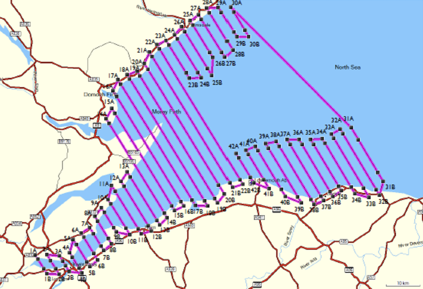 Digital aerial survey transects in the Moray Firth SPA