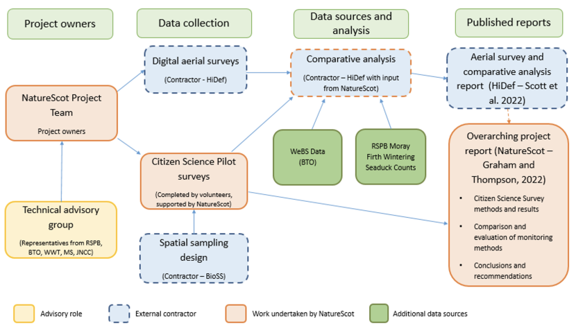 Diagram of the Citizen Science Pilot