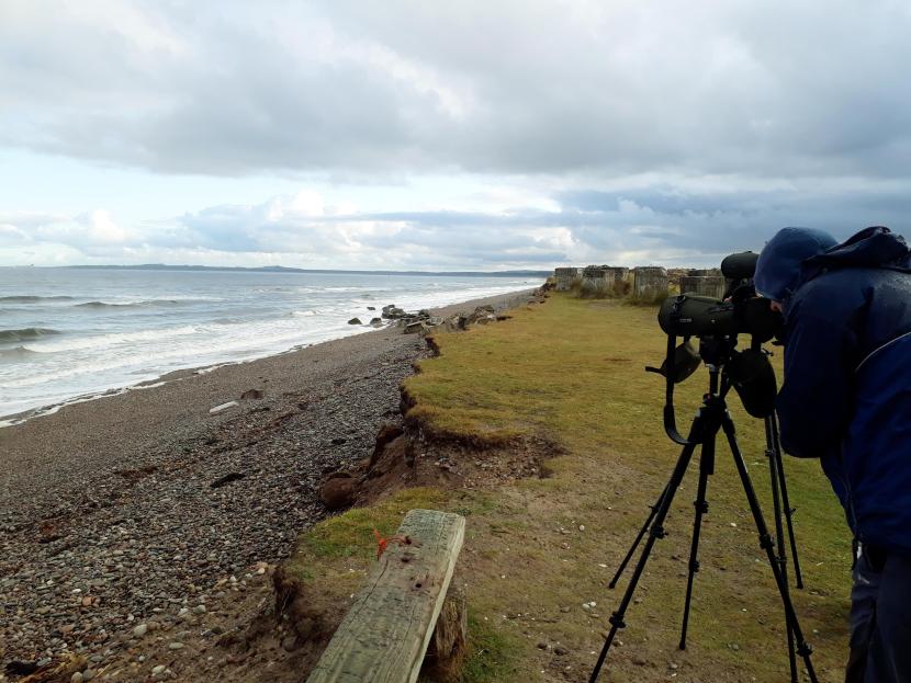 Volunteer surveyor at Findhorn