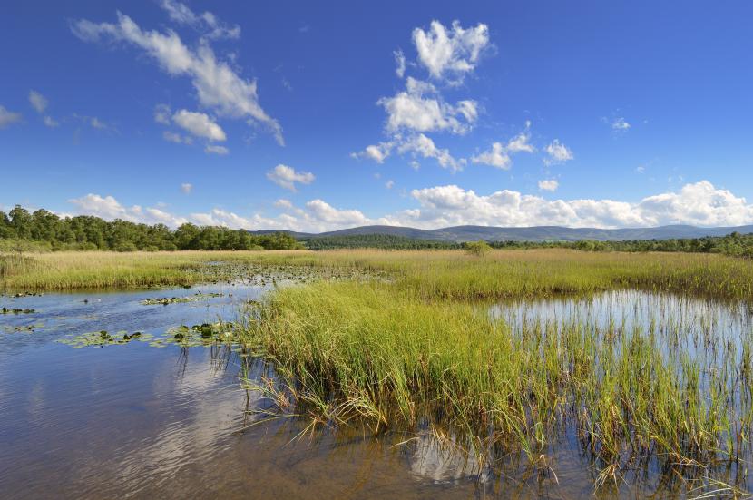 Loch Kinord