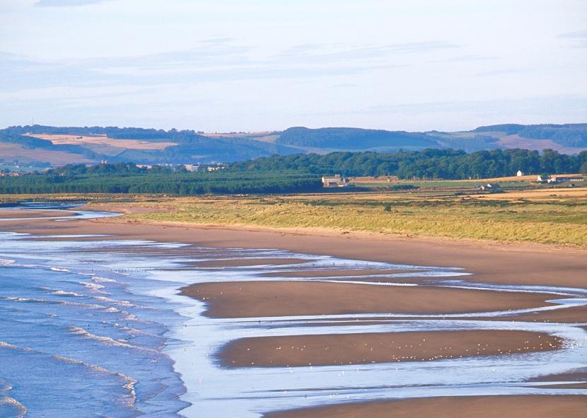 Coastal landscape