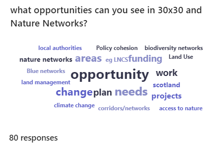 Word cloud with responses full description provided on page