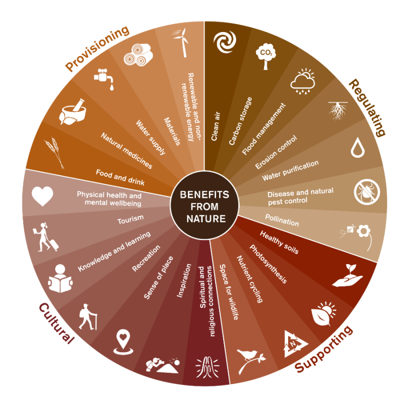 Infographic - Ecosystem Land wheel
