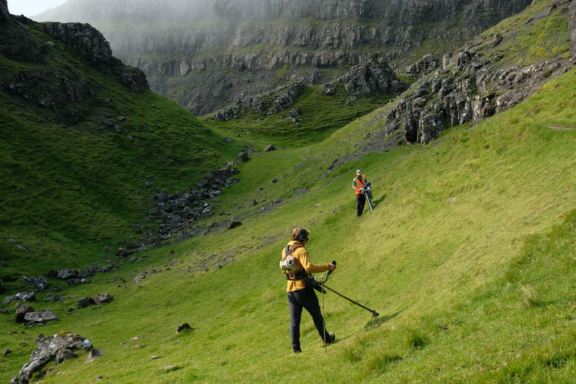 2 workers wearing high vis jackets, collecting seeds on a hillside.