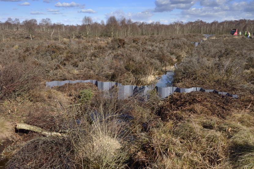 Example of a series of plastic piling dams blocking a ditch on a lowland raised bog