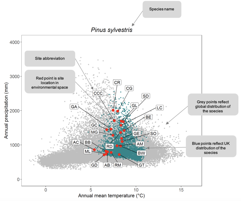 Sample scatter plot