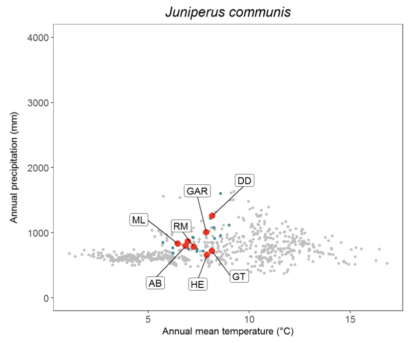 Scatter plot for juniper Juniperus communis