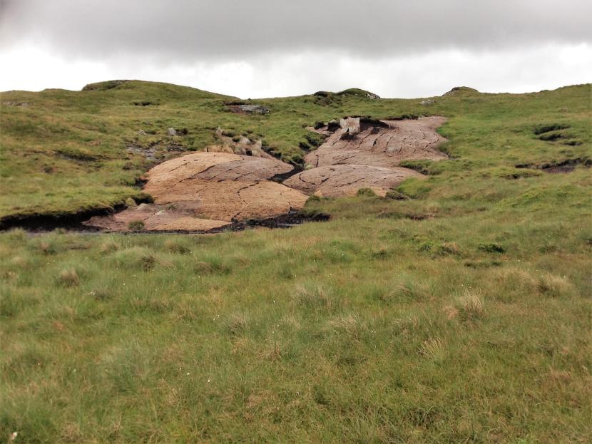 Textile matting covering areas of bare peat.