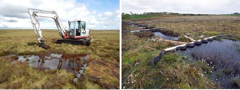 Image montage - composite dams