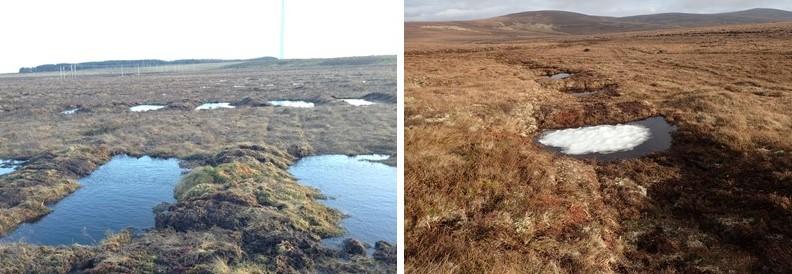 Image montage - Examples of wave dams