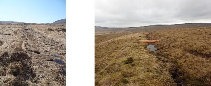 Examples of combined re-profiled and blocked ditches.