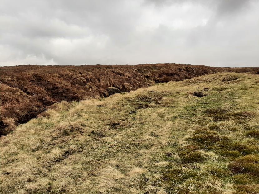 Example of reprofiled peat face.