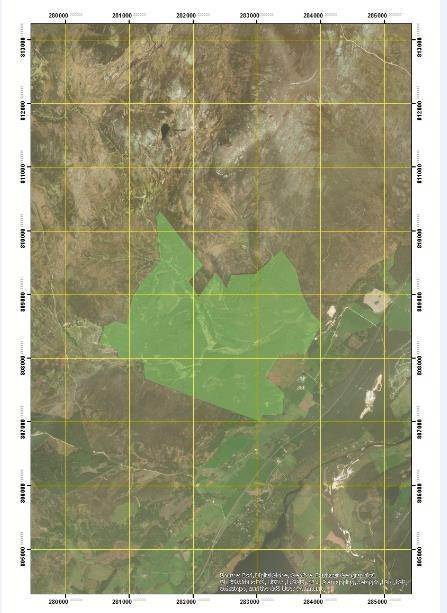 Figure 2: Area map highlighting the survey site in green with a 1km x 1km tile system applied in yellow.