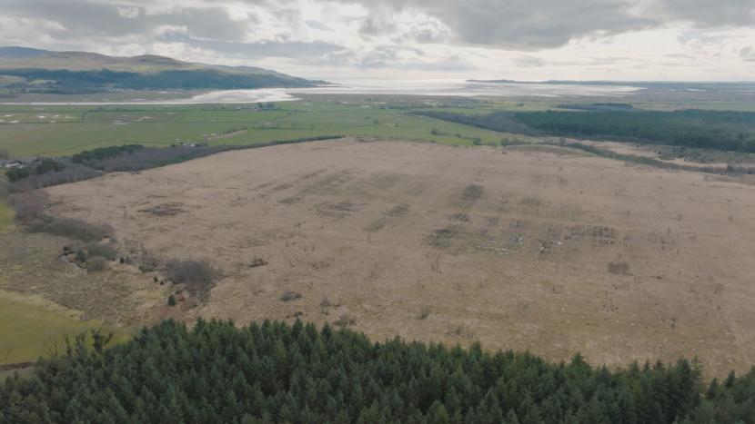 Peatland ACTION Case Study - Aerial photograph showing Moss of Cree after forest-to-bog restoration activities