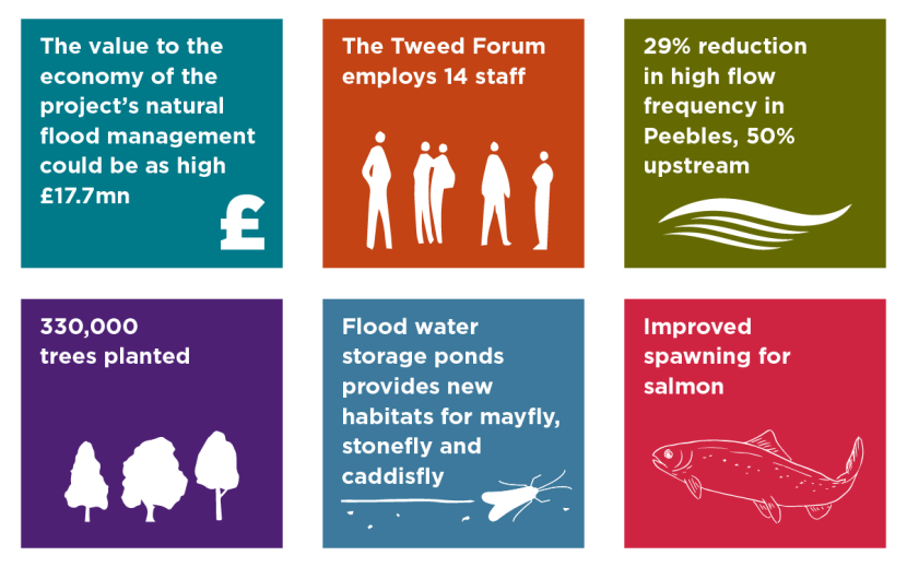 Infographic highlighting projects successes